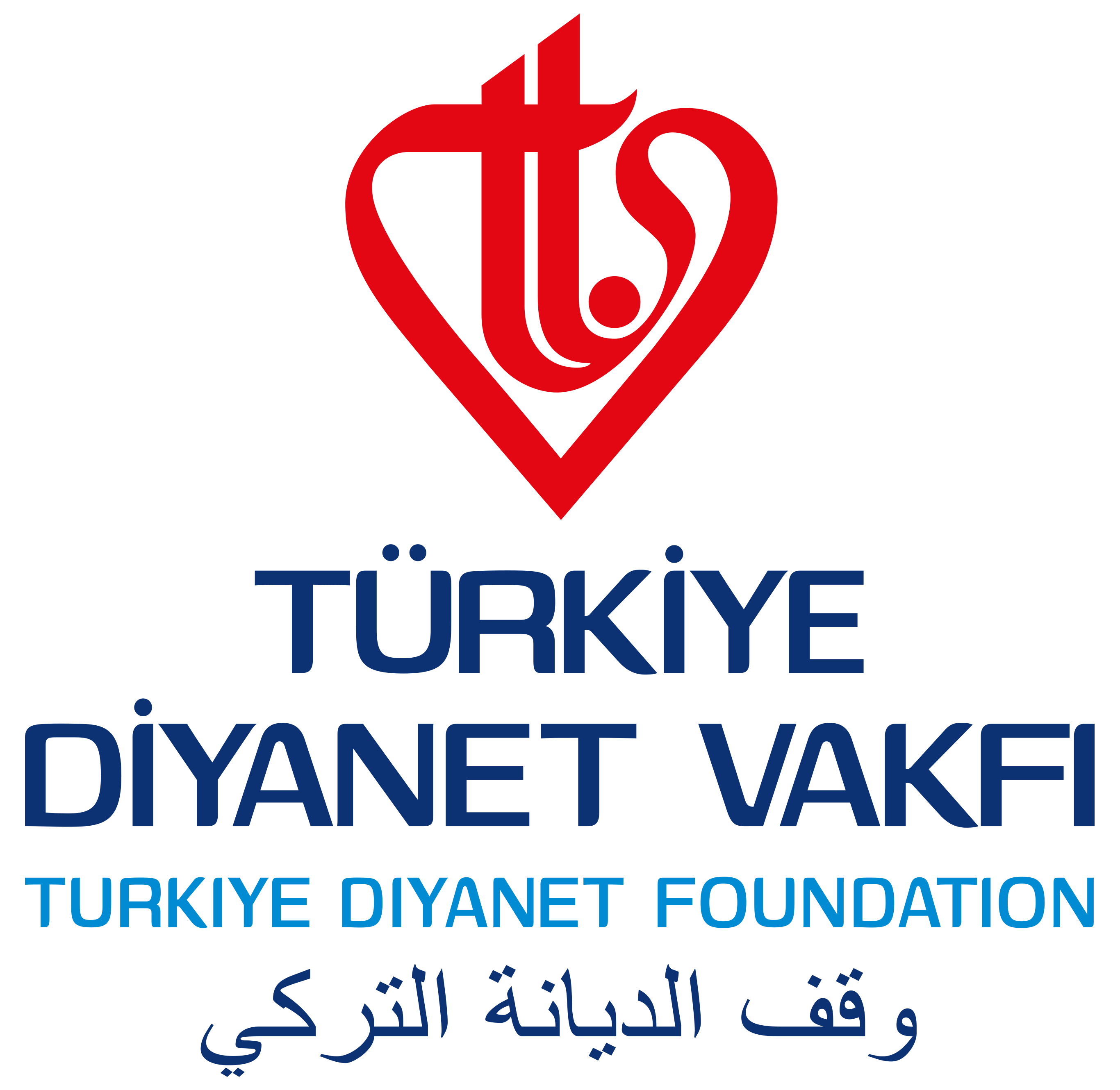 TDV Logo